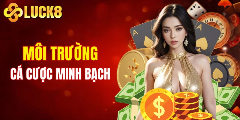 Trang chủ 7 Môi trường cá cược minh bạch